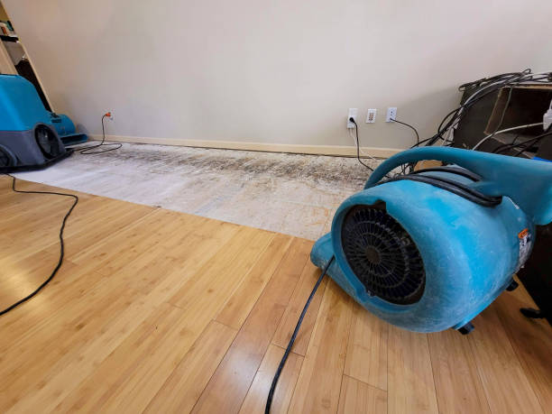 Professional Structural Drying technician working in Goodland, KS
